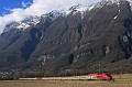 UM Thalys(1)